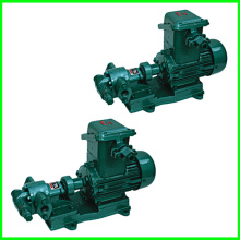 Oil Pump with Waste Oil Pump